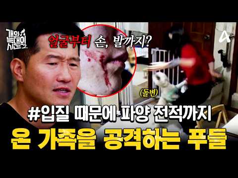 [#클립배송] 얼굴에 피가 날 정도로 물었다?! 온 가족을 공포에 떨게 한 푸들의 공격성 | #개와늑대의시간2 39회