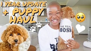 Everything you need to know about getting your first puppy | a year later with Mr. Kovu the Havapoo