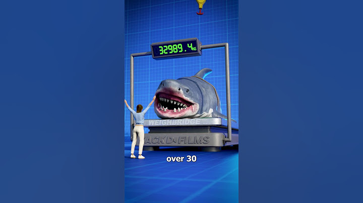 Megalodon Size Comparison 🤯