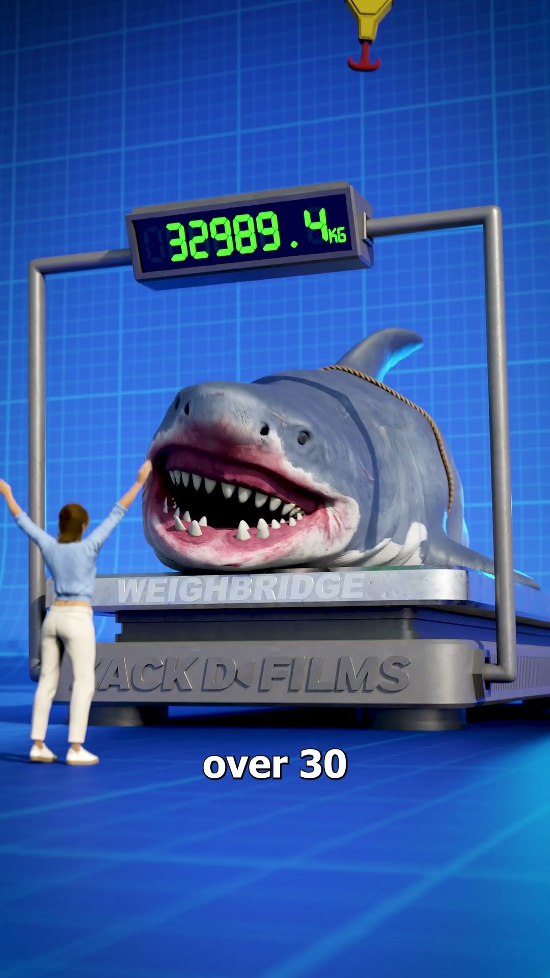 Megalodon Size Comparison ?