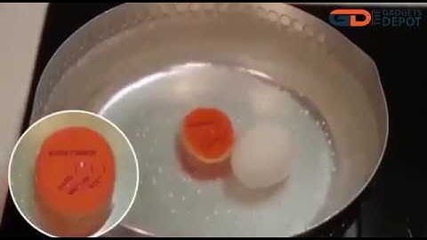 Color Changing Egg Timer