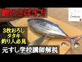 本鰹（カツオのさばき方・三枚おろし・タタキ)‐How to filet bonito（Skipjack）築地すしOmakase・元寿司学校講師解説