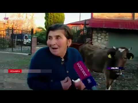 რას ყვებიან 17 წლის გოგონას ახლობლები, რომელმაც დღეს თავი მოიკლა