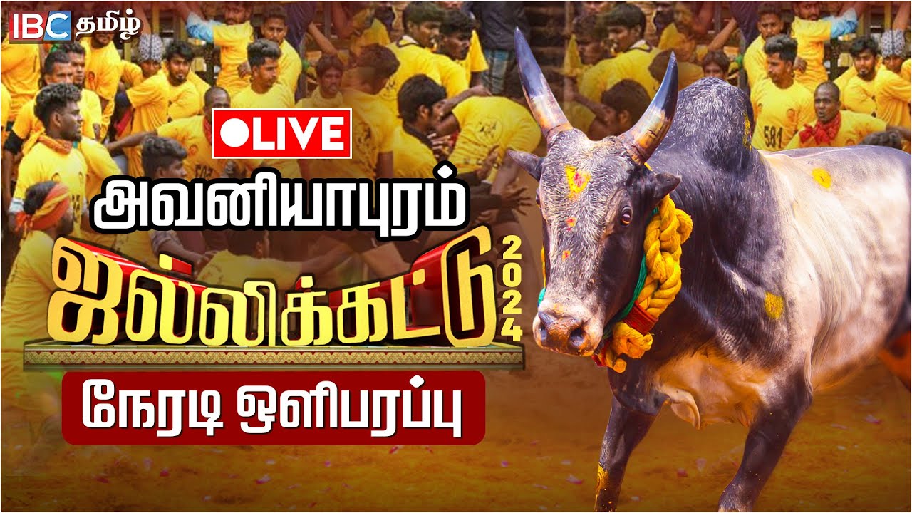 🔴 Avaniyapuram Jallikattu Live 2024 அவனியாபுரம் ஜல்லிக்கட்டு சிறப்பு