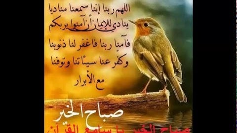 سورة الفاتحة . صوت ملائكي