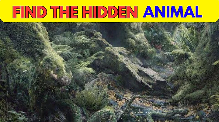 Can Yoi Find The Hidden Animals? | Find The Animal Game