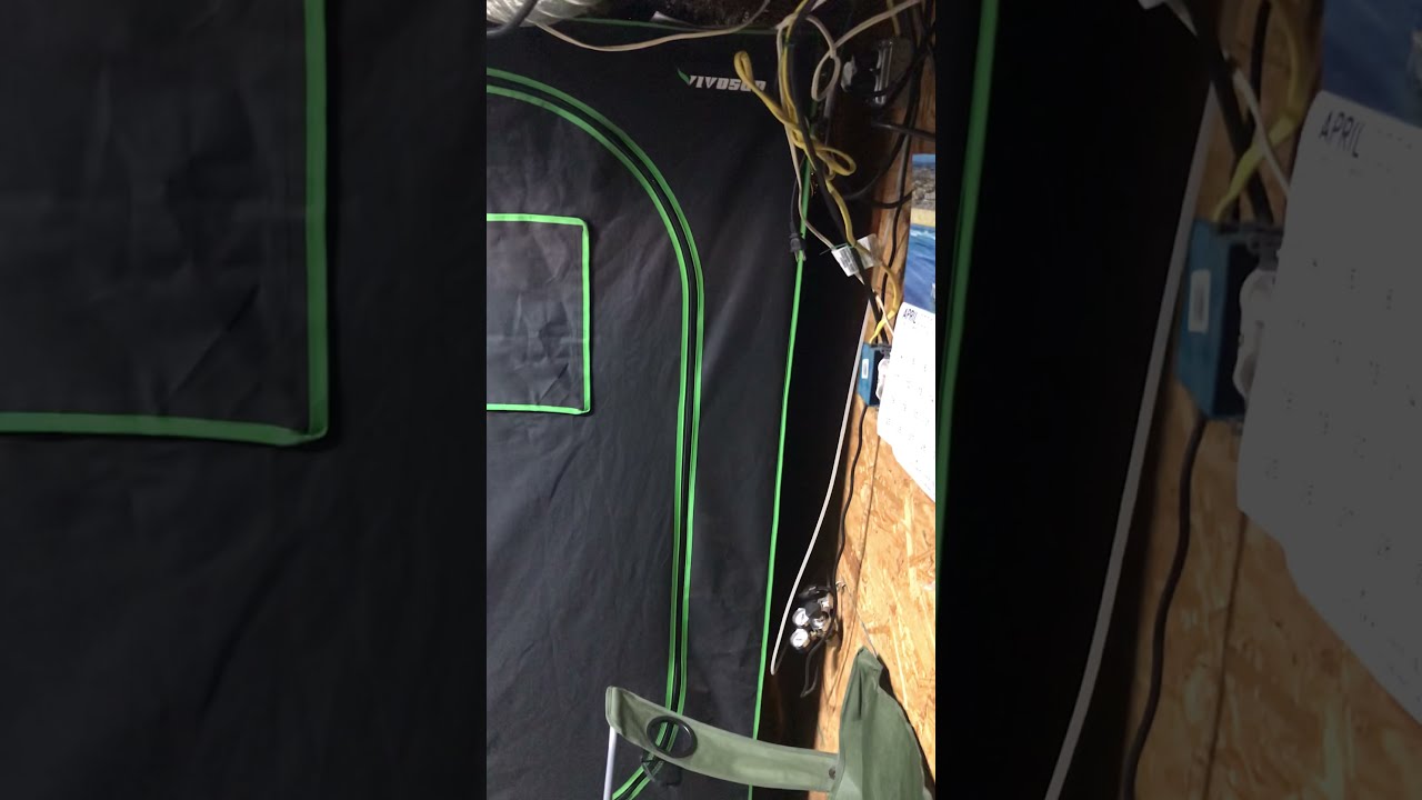 Indoor grow (Mac/wedding cake/rawtton)