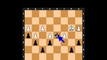 Chess Puzzles - 19th of August, 2023 #chess