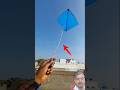 Fly A Kite Using A Rubbar Band 😍 #shorts #pkcreazyexperiment