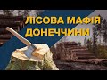 Лісова мафія Донеччини