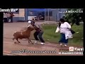 الخروف الضحك انا سكران وعايز فلوس