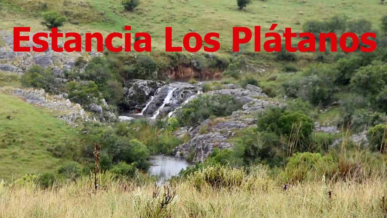 Una de las Mejores Estancias que se pueden visitar en Uruguay / Estancia Turística Los Plátanos