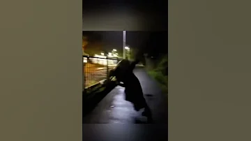 جني من سوق الجمعة 