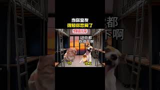 当你室友得知你恋爱了#cheems #cheems小剧场 #搞笑 #funny #熱門