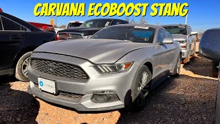 Copart Walk Around 1-13-22 + Carvana EcoBoost Mustang with a Surprise!!