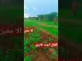 الا معين الفنان ايوب طارش