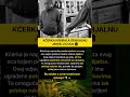 Prilagođena jakna za pacijente na dijalizi