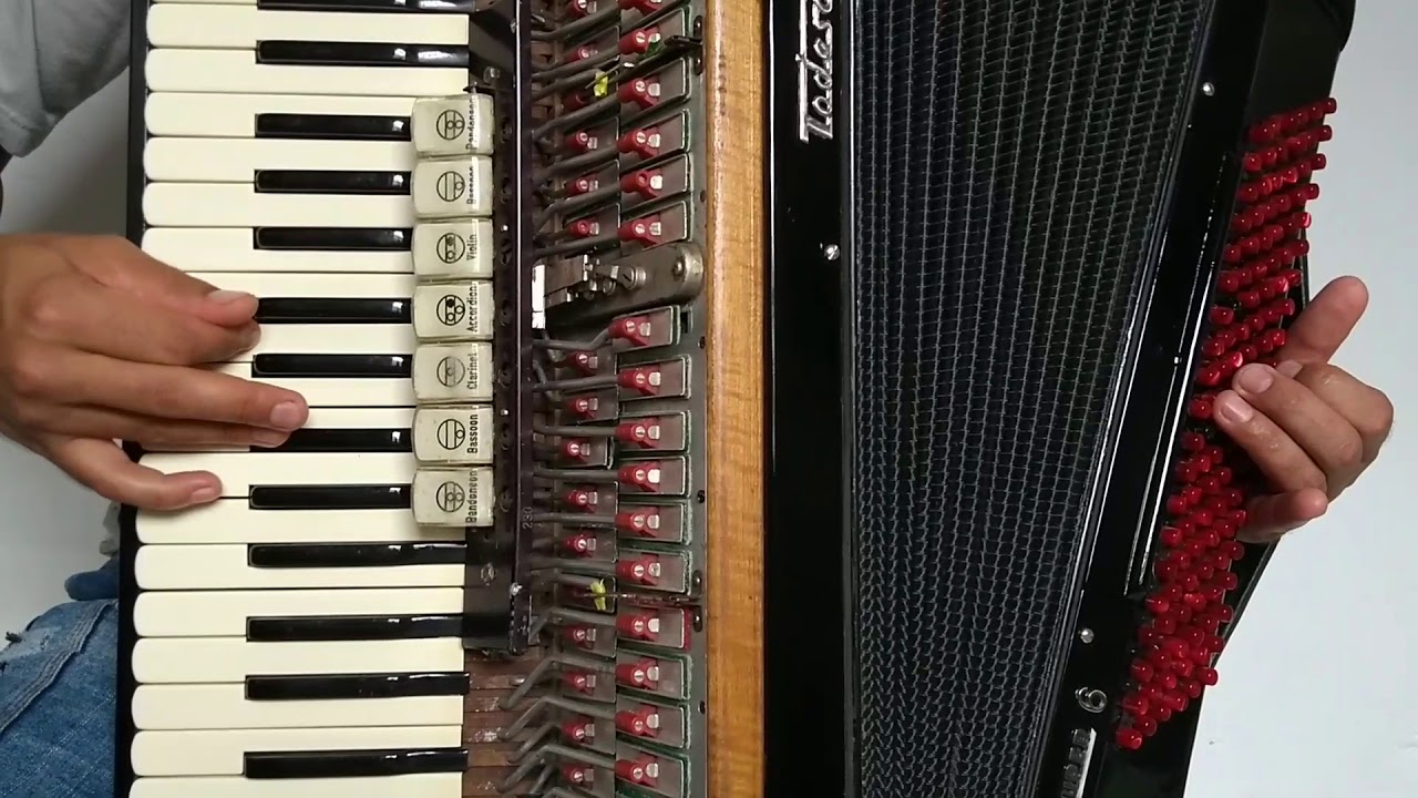 Vídeo aula acordeon Cana Verde 