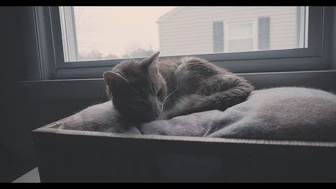 Panasonic GH5s 4k -  400mbps 24fps - VLOG Test with Dark City 6 LUT