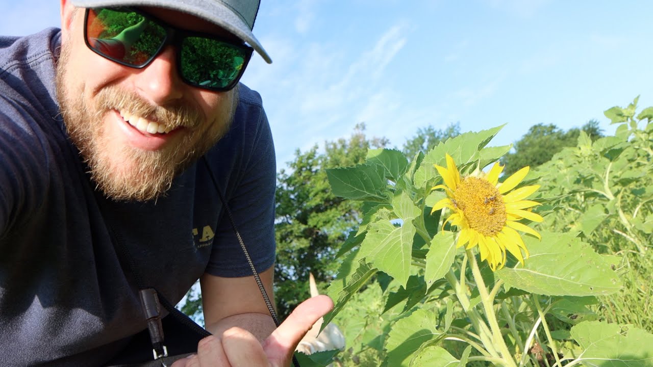 It’s Not Perfect... But There’s Still Hope (Dove Field Pt. 3)