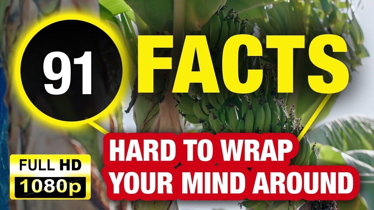 91 Amazing and Random Facts That Will Stun You!