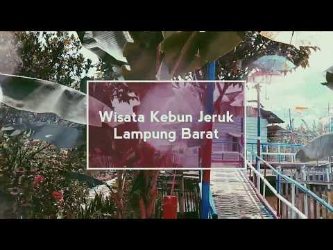 Wisata Kebun Jeruk Lampung Barat Youtube Wisata Kebun Jeruk Lampung Barat Youtube