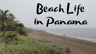 Retire in Panama  Beach Life Near Las Tablas Panama