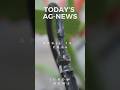 Todays news featuring vivecrop farmersedge1 philipshorticulture  more