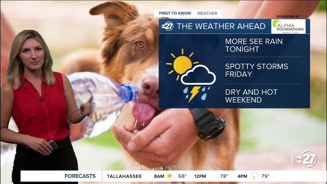 Hot and humid with afternoon storms - YouTube