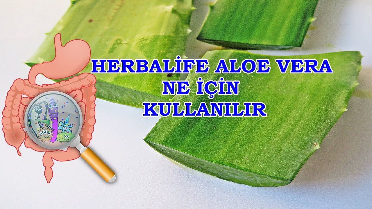 HERBALFE ALOE VERA NE N KULLANILIR