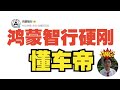 懂车帝智驾测试，揭开国内智驾厂商的底裤。特斯拉遥遥领先，华为霸气回应对结果不予置评 | 懂车帝 | 智驾 | 华为 | 特斯拉