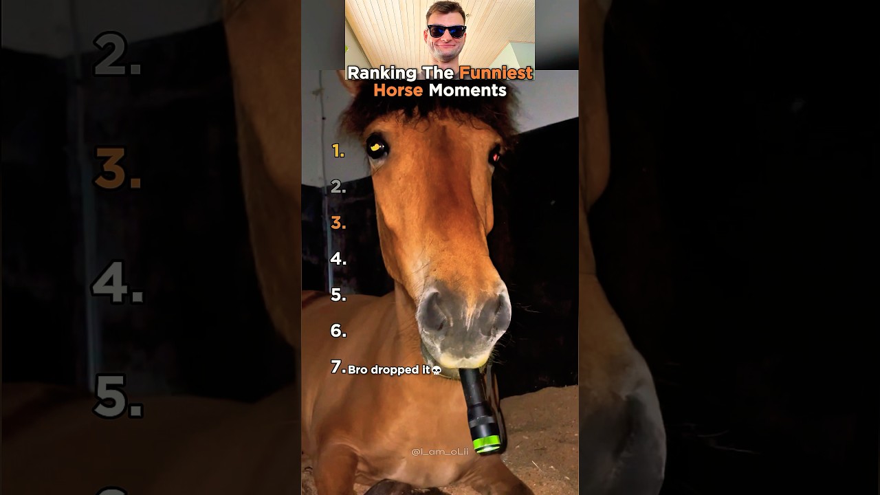 7 самых смешных моментов и неудач с лошадьми! (Часть 2)
