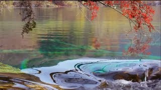 4K高清航拍人间最美水景:四川九寨沟风景区 太美了,美得像上帝的画板 美不胜收 美得不像在人间 美丽的像天上仙境 五彩池 镜海 诺日朗瀑布Trip To Jiuzhaigou 九寨沟之旅 4K高清航拍人间最美水景:四川九寨沟风景区 太美了,美得像上帝的画板 美不胜收 美得不像在人间 美丽的像天上仙境 五彩池 镜海 诺日朗瀑布Trip To Jiuzhaigou 九寨沟之旅