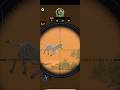 Barren Desert Level 35 - FR F2 - Sniper Shooter Wild