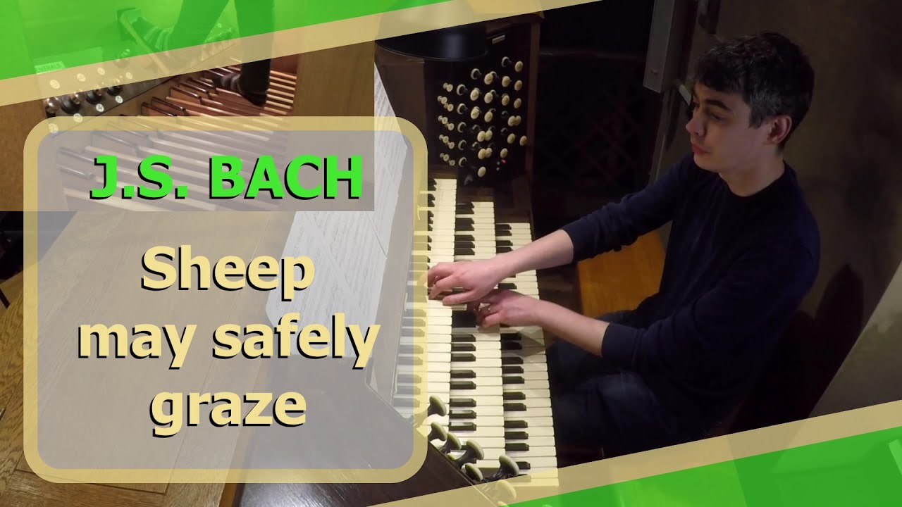 J.S. Bach - Sheep may safely graze - Ben Bloor - YouTube