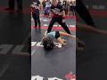 Armbar from north south at naga