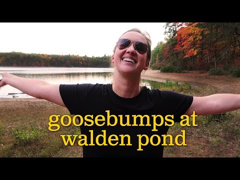 Goosebumps at Walden Pond