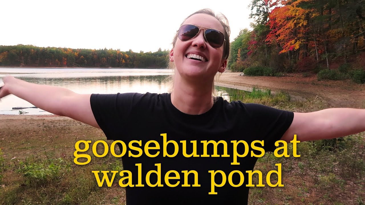 Goosebumps At Walden Pond