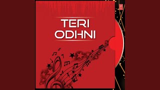 Video thumbnail of "Vinky Raaj - Instrumental Teri Odhni"