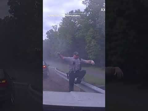 Videó: A Cop testkamera rögzíti, hogyan mentettek meg egy autót egy boltban lévő parkolóban