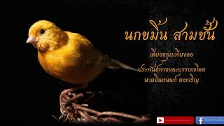 นกขมิ้น สามชั้น (เดี่ยวขลุ่ยเพียงออ) - Nokkhamin Klui Piang-Or solo