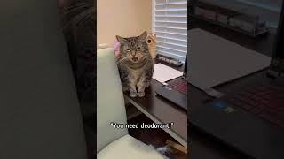 Excuse Me, Penny? Did You Just Call Me Musty?