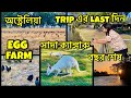 Australia র Egg Farm কেমন হয়? Unique White Kangaroo | বছর শেষে Trip ও শেষ | Australia- Bengali Vlog
