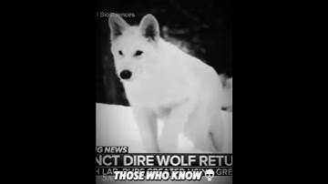 Dire Wolves Are Back… 💀