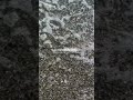 あー海楽しかったなー