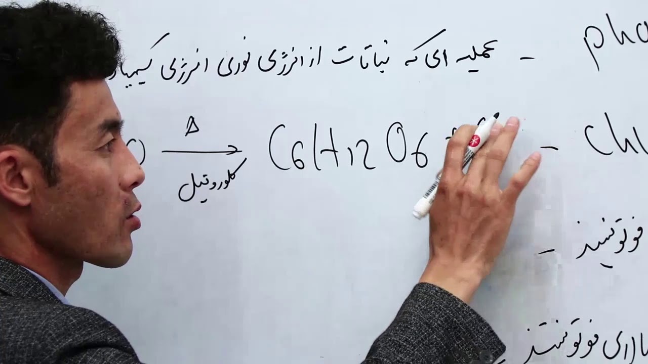 صنف یازدهم   مضمون بیولوژی   درس 23   مضوع درس مرور فصل چهارم ‌