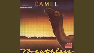 Video thumbnail of "Camel - Echoes"