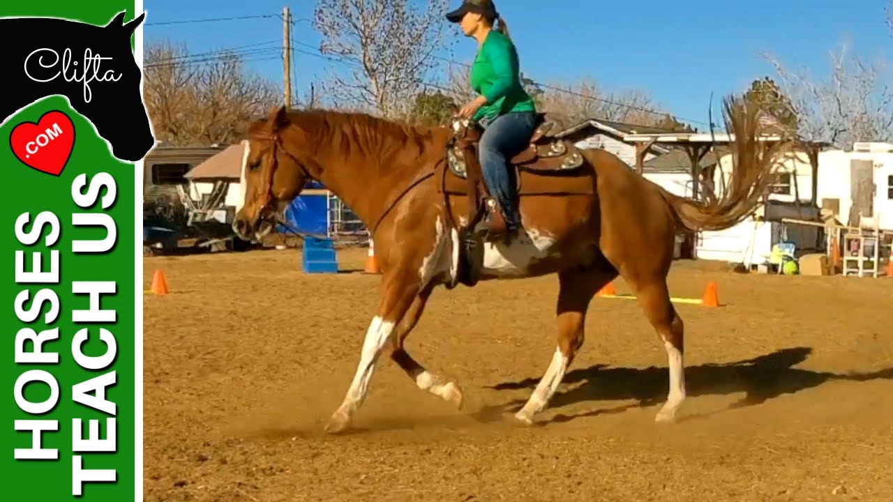 Western Pleasure Lope & Jog Practice YouTube