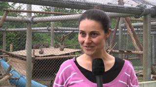 Studying at the University of Goettingen: Tabitha Price Studying at the University of Goettingen: Tabitha Price