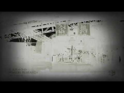 Sportlight Penguin Research